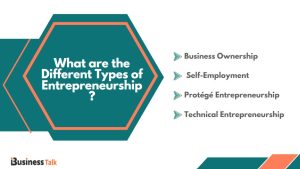 What Are the Different Types of Entrepreneurship