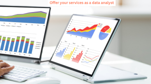 Offer your services as a data analyst