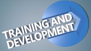 Training and Development