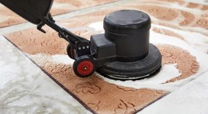 The Hidden World of Carpet Contamination